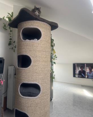 Torre tiragraffi gatto