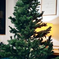 Albero di natale mt. 2,30 - maestoso