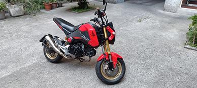 Honda msx 125 grom