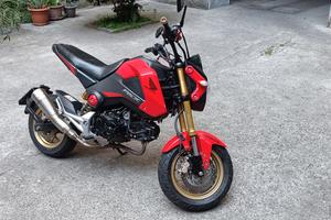 Honda msx 125 grom
