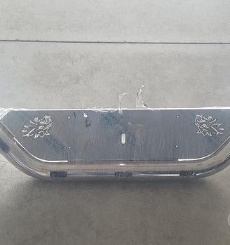 Portatarga Inox Scania R