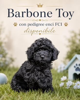 Barboncini disponibili