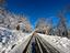 Immagine 6