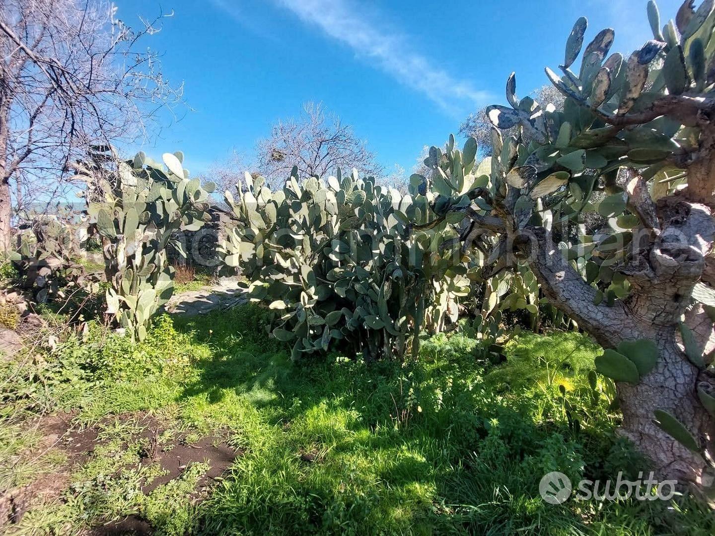 Casa di campagna con terreno a Verzella - Vista 3