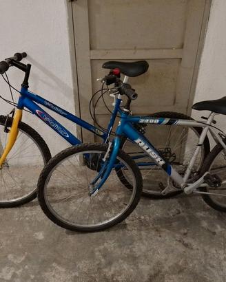 2 bike - biciclette uomo e ragazzo