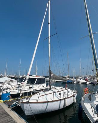 Barca a vela Alaver 6.8 sport