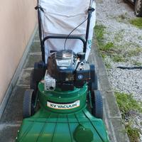 Aspirafoglie 