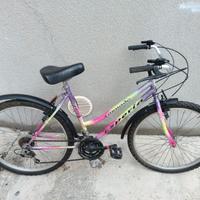 bicicletta City Bike Ruota 26 pari a nuova