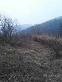 Terreno per Arnie in collina