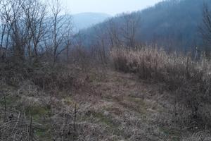 Terreno per Arnie in collina