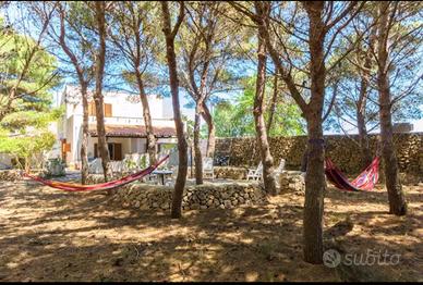 Villa con pineta, ideale per gruppi