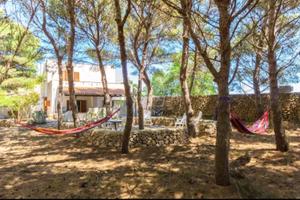 Villa con pineta, ideale per gruppi