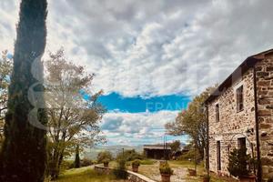 Rustico/Casale/Corte Sorano [Cod. rif 3238519VRG]