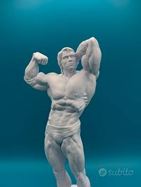 Arnold schwarzenegger sport gym bodybuilder