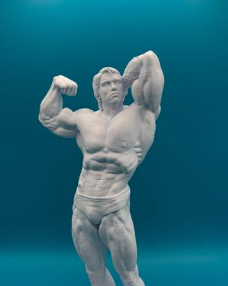 Arnold schwarzenegger sport gym bodybuilder