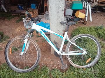 Biciclette