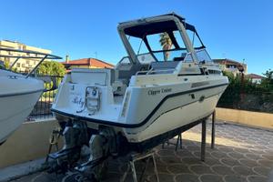 Barca clipper cruiser