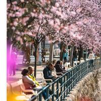 Merano 6 posti appartamento centrale tranquillo