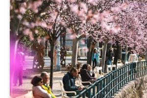 Merano 6 posti appartamento centrale tranquillo