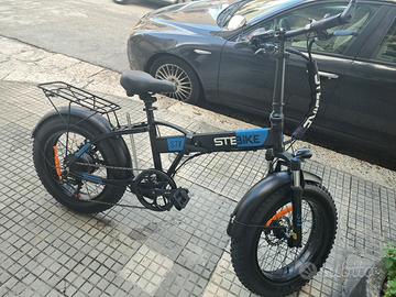 fat bike 48v