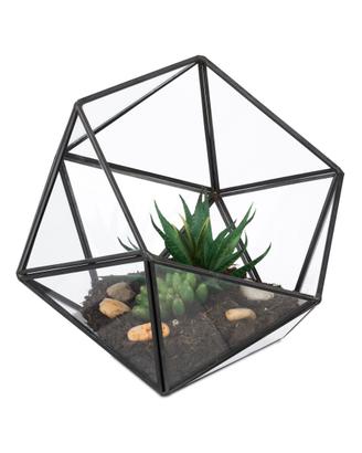 Terrario Geometrico Icosaedro in vetro e metallo