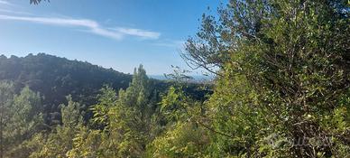 capanno / appostamento fisso