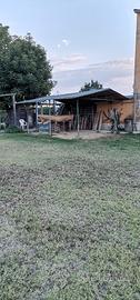 tettoia 