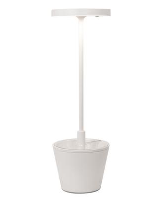 Lampada zafferano poldina reverso