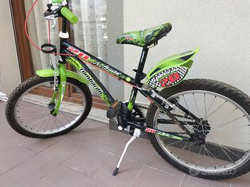 Bicicletta lombardo artemis 20