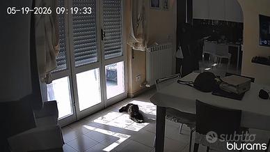 Appartamento bilocale