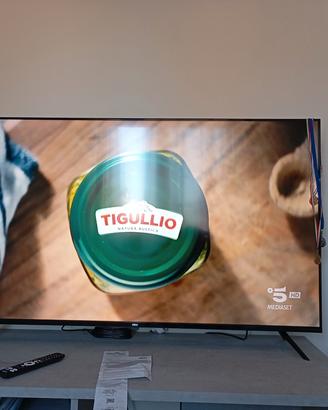 TV nuova seleco