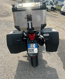 EXPLORER 1200 TRIUMPH DEL 15 uni pro full