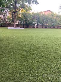 Erba sintetica tappeto