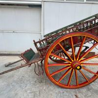 Carro agricolo l'epoca decorato
