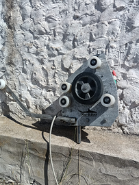 Salpa palamito elettrico