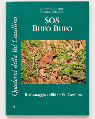 SOS Bufo Bufo – Salvataggio anfibi Val Cavallina