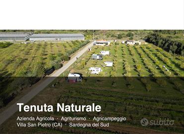 AZIENDA AGRICOLA CON AGRITURISMO E AGRICAMPEGGIO