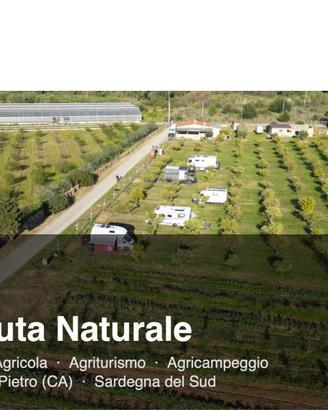 AZIENDA AGRICOLA CON AGRITURISMO E AGRICAMPEGGIO