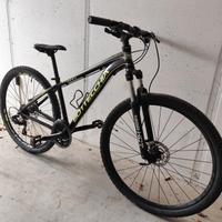 mtb bottecchia 29 ragazzi 
