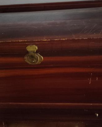 baule vintage anni 50/60