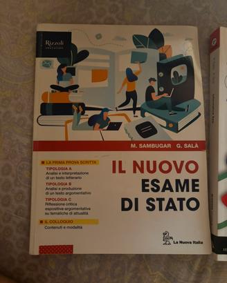 libro di italiano