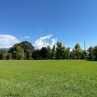 Terreno Agricolo Colceresa [Cod. rif 3256290VCG]