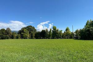 Terreno Agricolo Colceresa [Cod. rif 3256290VCG]