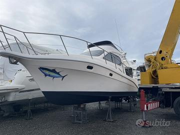 Intermare 30 Fly (2002)