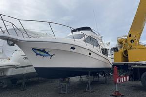 Intermare 30 Fly (2002)