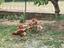 Immagine 6
