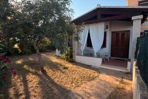 Last minute San Teodoro