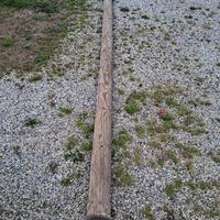 palo in legno per altalena