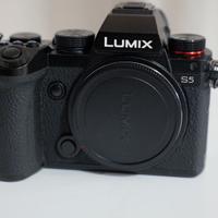 Panasonic Lumix S5 – Shutter 1184