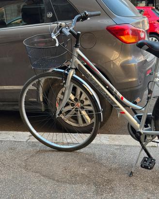 Bicicletta da passeggio